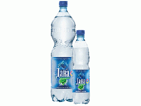 Питьевая минеральная вода “Дана”