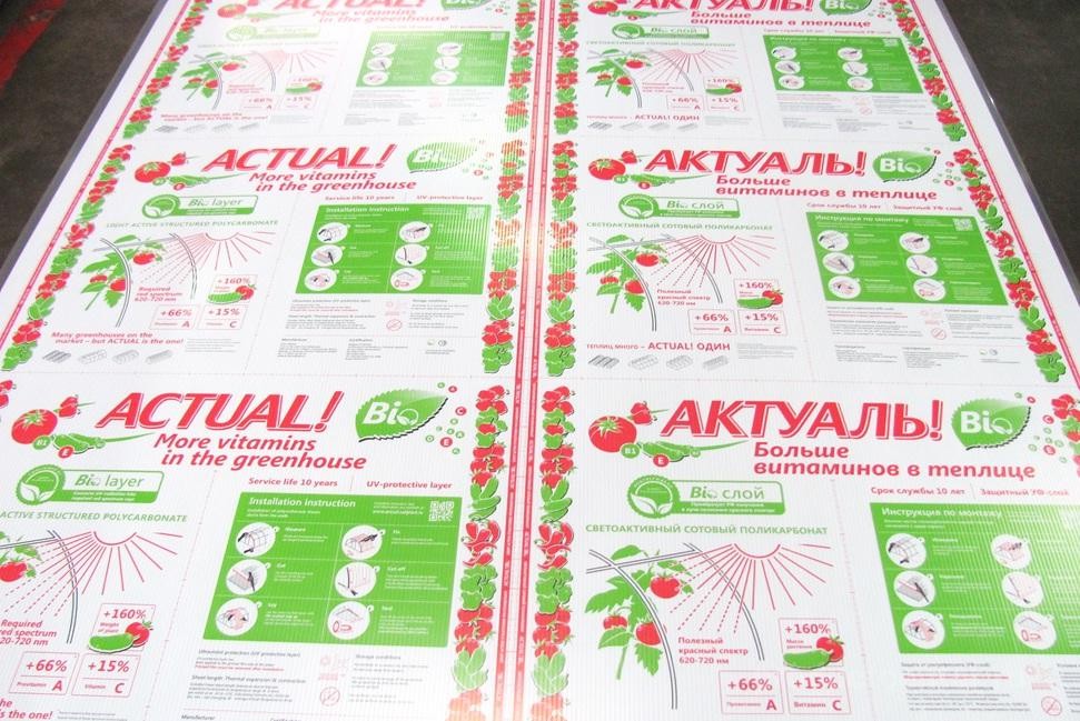 Поликарбонат для теплиц актуаль био Поликарбонат для теплиц актуаль био