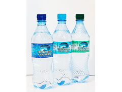 Фото 1 Питьевая вода «Серебряная вода» в пэт-бутылках, г.Нижний Новгород 2017