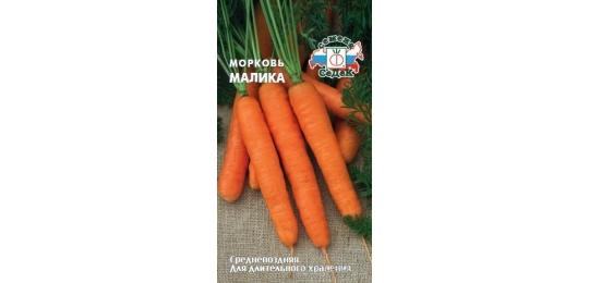 Фото 4 Гранулированные семена моркови, г.Домодедово 2017