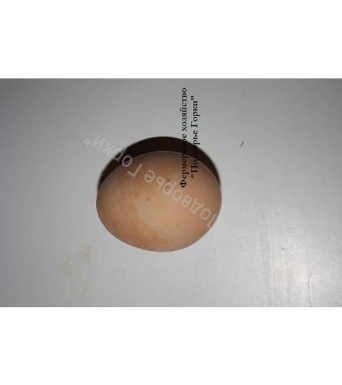 Фото 4 Яйца свежие в упаковке, г.Гатчина 2017