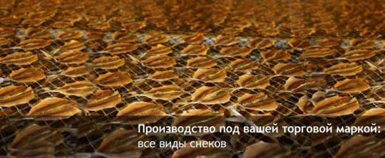Фото 2 Группа компаний «SeaLand», г.Москва