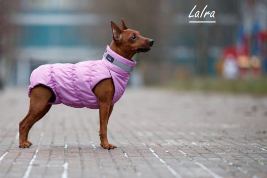 Фото 2 Одежда для собак LaIra 2017