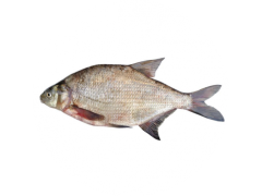 Фото 1 Рыба свежемороженная на вес, г.Балахта 2018