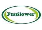 Тепличное хозяйство «Funflower»