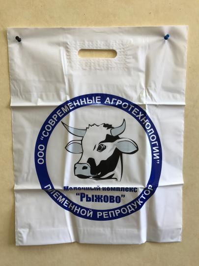 Фото 5 Пакеты с вырубной ручкой, г.Москва 2018