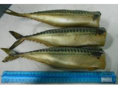 Фото 1 Рыба холодного копчения весовая, г.Набережные Челны 2018