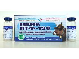 Вакцина ЛТФ-130 для профилактики и терапии трихофитоза крупного рогатого скота