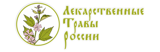 Фото №1 на стенде ООО «Зелёный мир», г.Самара. 506189 картинка из каталога «Производство России».