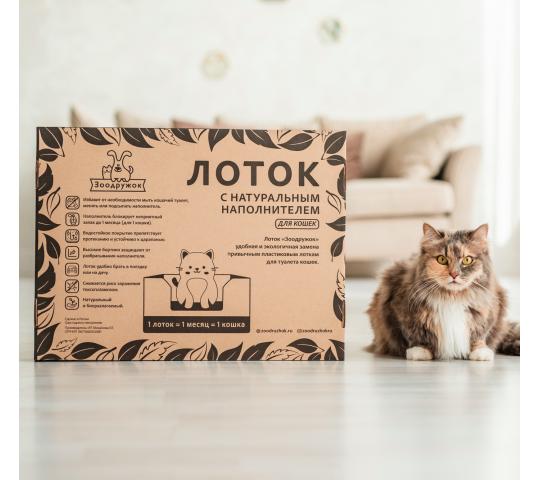 521862 картинка каталога «Производство России». Продукция Лоток для кошек с наполнителем, г.Москва 2020