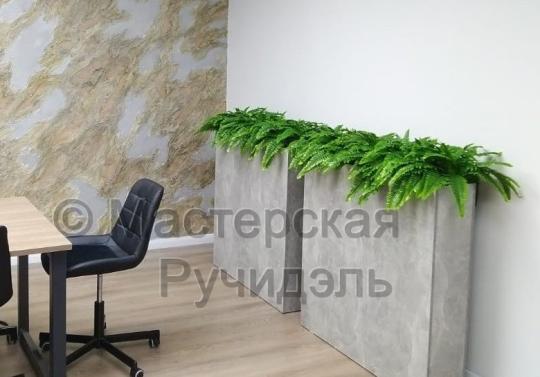 Фото 6 Кашпо-перегородка офиса, г.Москва 2022