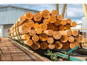 Деревянные опоры ЛЭП пропитанные 6-13 метров