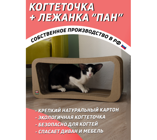 Фото 2 Когтеточка из картона + лежанка «Пан» для кошек, г.Санкт-Петербург 2022
