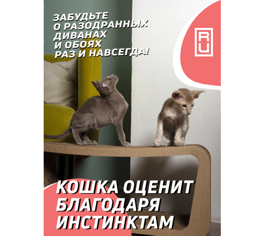 Фото 4 Когтеточка из картона + лежанка «Пан» для кошек, г.Санкт-Петербург 2022