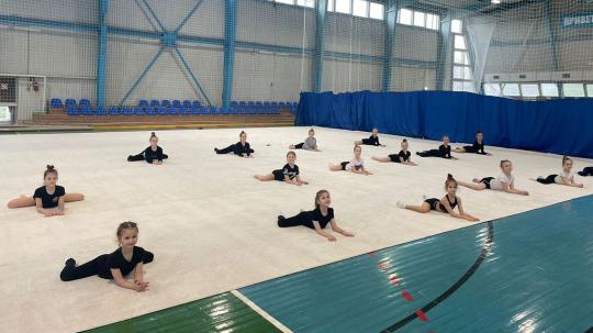 Фото 3 Ковер для художественной гимнастики тренировочный, г.Нижний Новгород 2022
