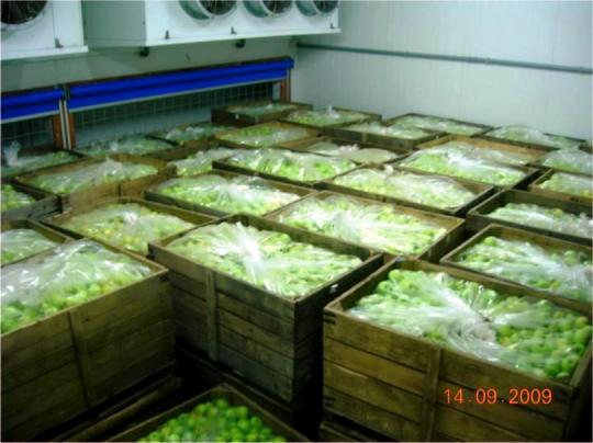 Фото 14 Холодильные Камеры для Овощей и Фруктов., г.Симферополь 2022