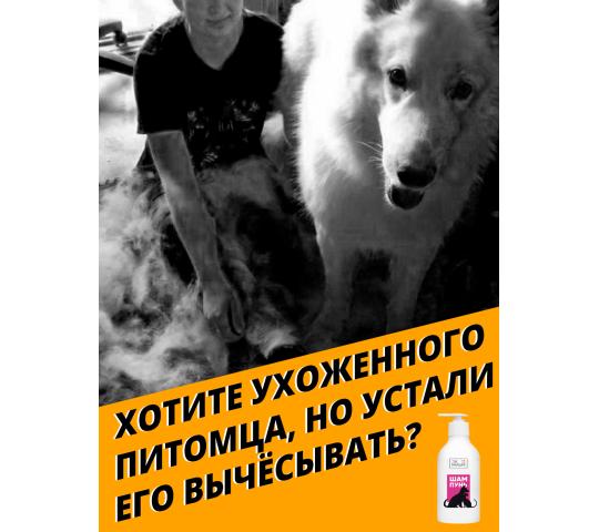 Фото 9 Шампунь для собак с кондиционером 400 мл., г.Королев 2022