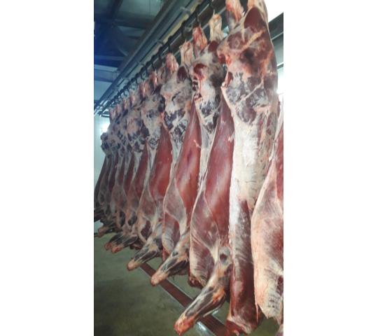 Фото 2 Мясо говядины (бык), г.Ремонтное 2023
