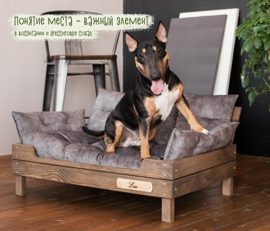 Фото 4 Диван для собак именной с деревянным каркасом XL 85х60 см, г.Барнаул 2023