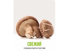 Фото 1 Свежий гриб шиитаке, г.Новосибирск 2023