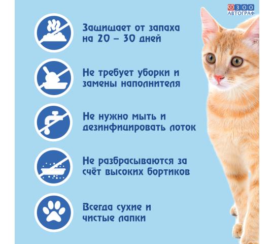 Фото 2 Кошачий чудо-горшок «Любимый кот - без хлопот!», г.Сургут 2023