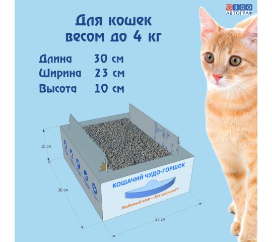 Фото 5 Кошачий чудо-горшок «Любимый кот - без хлопот!», г.Сургут 2023