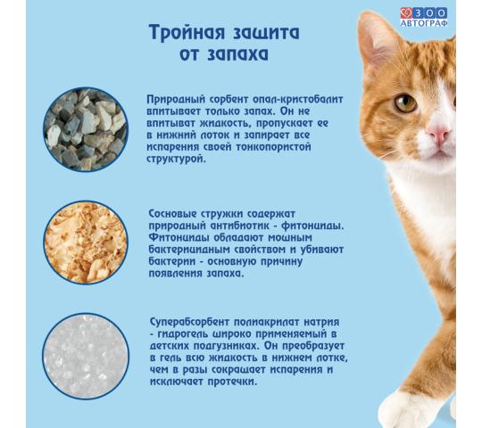 Фото 3 Кошачий чудо-горшок «Любимый кот - без хлопот!»+, г.Сургут 2023