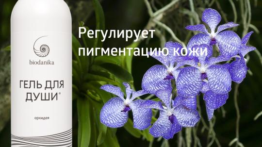 Фото 6 biodanika-gel-dlya-dushi-orhideya-reguliruet-pigmentaciyu-kozhi