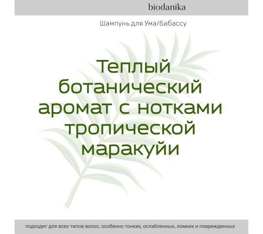 Фото 3 biodanika-shampun-dlya-uma-babassu-botanicheskij-aromat-s-notkami-tropichskoj-marakuji 2023