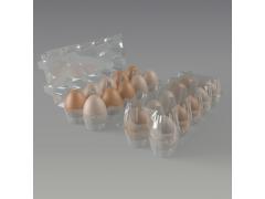 Фото 1 Ячейка для яиц оптом 2023
