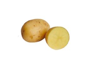 Семенной картофель «Королева Анна»