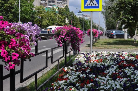 Фото 4 Вазон для цветов на ограждения, г.Москва 2015