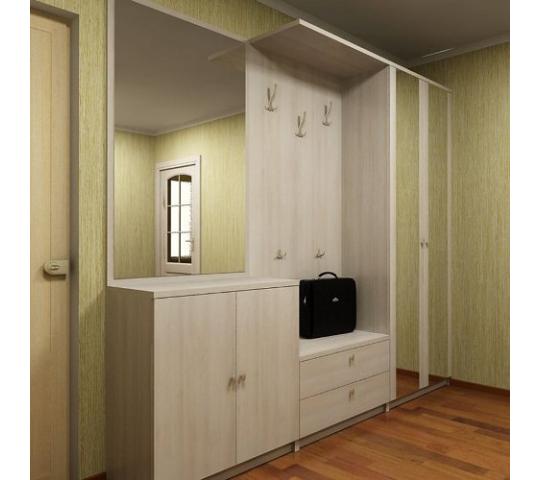 Корпусная мебель для гардеробной комнаты (59 фото)