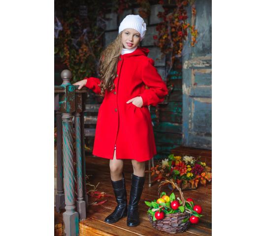 Фото 3 Пальто для девочек, г.Санкт-Петербург 2015