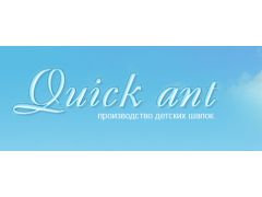 Компания «Quick ant»