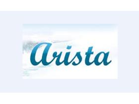 Компания Arista