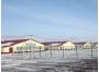 Омская птицефабрика &laquo;Морозовская&raquo; открыла крупную птицеферму мощностью 4,5 тыс. тонн мяса