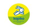 Компания «Kapika»