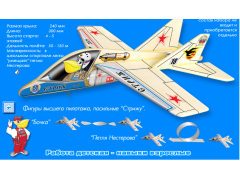 Фото 1 Модель самолёта «Стриж», г.Волгоград 2016