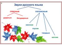 Комбинированное наглядное пособие «Наглядный русский. 1-2 классы»