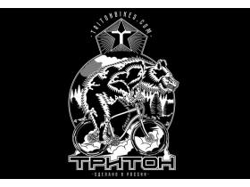 Компания «Тритон»