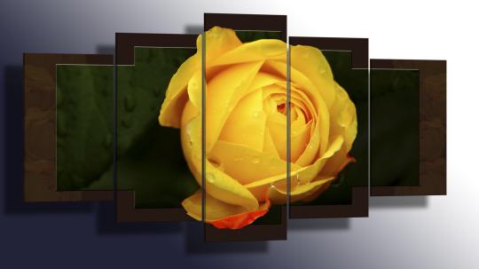 Фото 2 Модульные картины с изображением цветов, г.Набережные Челны 2016