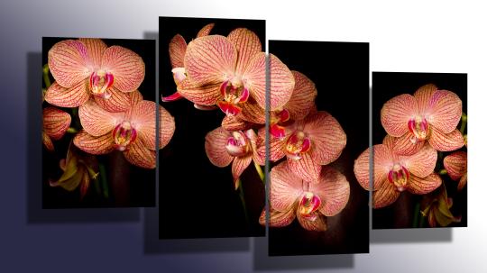 Фото 3 Модульные картины с изображением цветов, г.Набережные Челны 2016