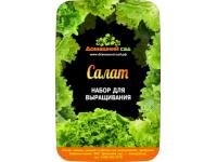 Наборы для выращивания растений «Домашний сад»