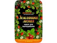 Наборы для выращивания растений «Домашний сад»