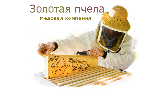 Фото №7 на стенде Медовая компания «Золотая пчела», г.Константиновск. 197531 картинка из каталога «Производство России».