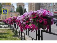 Оборудование для вертикального озеленения с накопителем жидкости