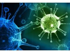 Лечение инфекционных заболеваний медью Лечение инфекционных заболеваний медью