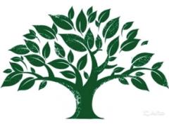Мебельная компания «Доброе дерево»