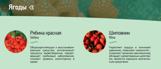 Фото 6 Дикорастущие ягоды замороженные, г.Омск 2016